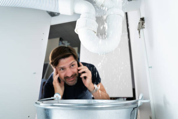 Best Clogged Drain Plumber  in Avon, MN