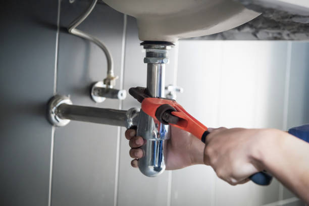 Best Plumbing Inspection Services  in Avon, MN